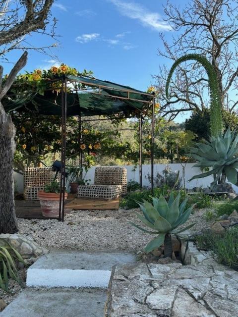 גיאה Villa Galvana מראה חיצוני תמונה