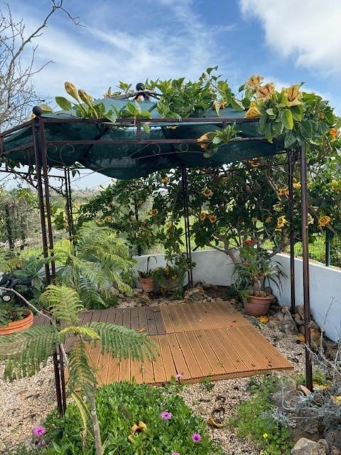 גיאה Villa Galvana מראה חיצוני תמונה